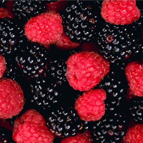 berries berries